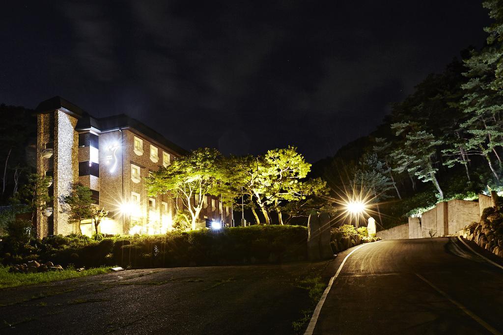 Hotel Namoo Cheong-Ju Cheongju Chambre photo